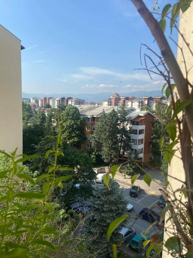 Family Apartment Ivanovic Üsküp Dış mekan fotoğraf